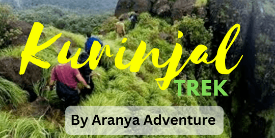 Kurinjal Peak Trek, Chikmagalur ! Aranya Adventure