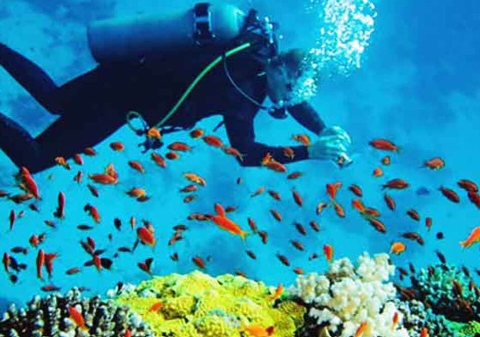 Scuba Diving Trip To Malvan With Water Sports | Muddie Trails