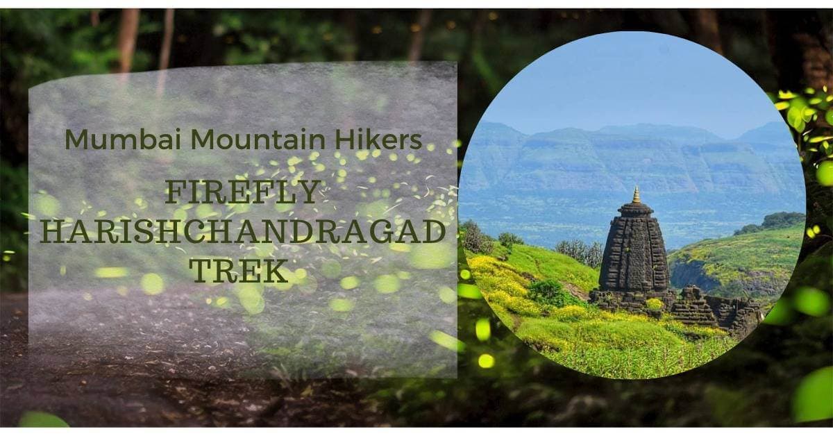 Firefly Harishchandragad Trek | Mumbai Mountain Hikers