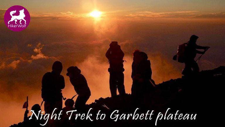 Night Trek To Garbett Plateau | Hiker Wolf 