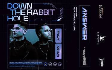 Down The Rabbit Hole