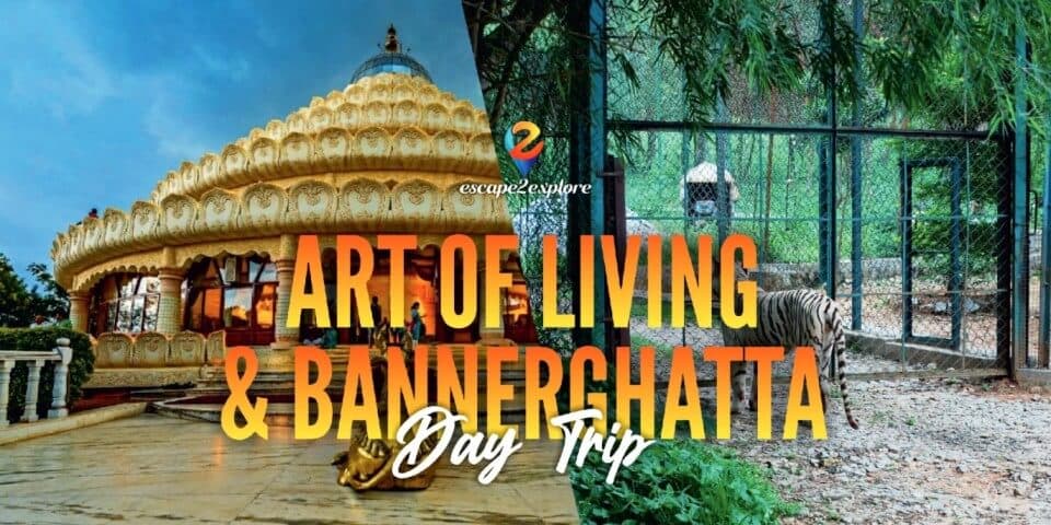 Art of Living & Bannerghatta Safari One Day Trip By Escape2explore
