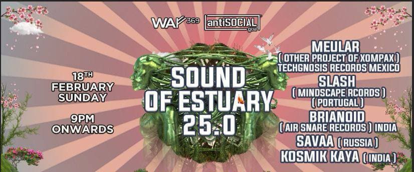 Sound Of Estuary | Antisocial Goa