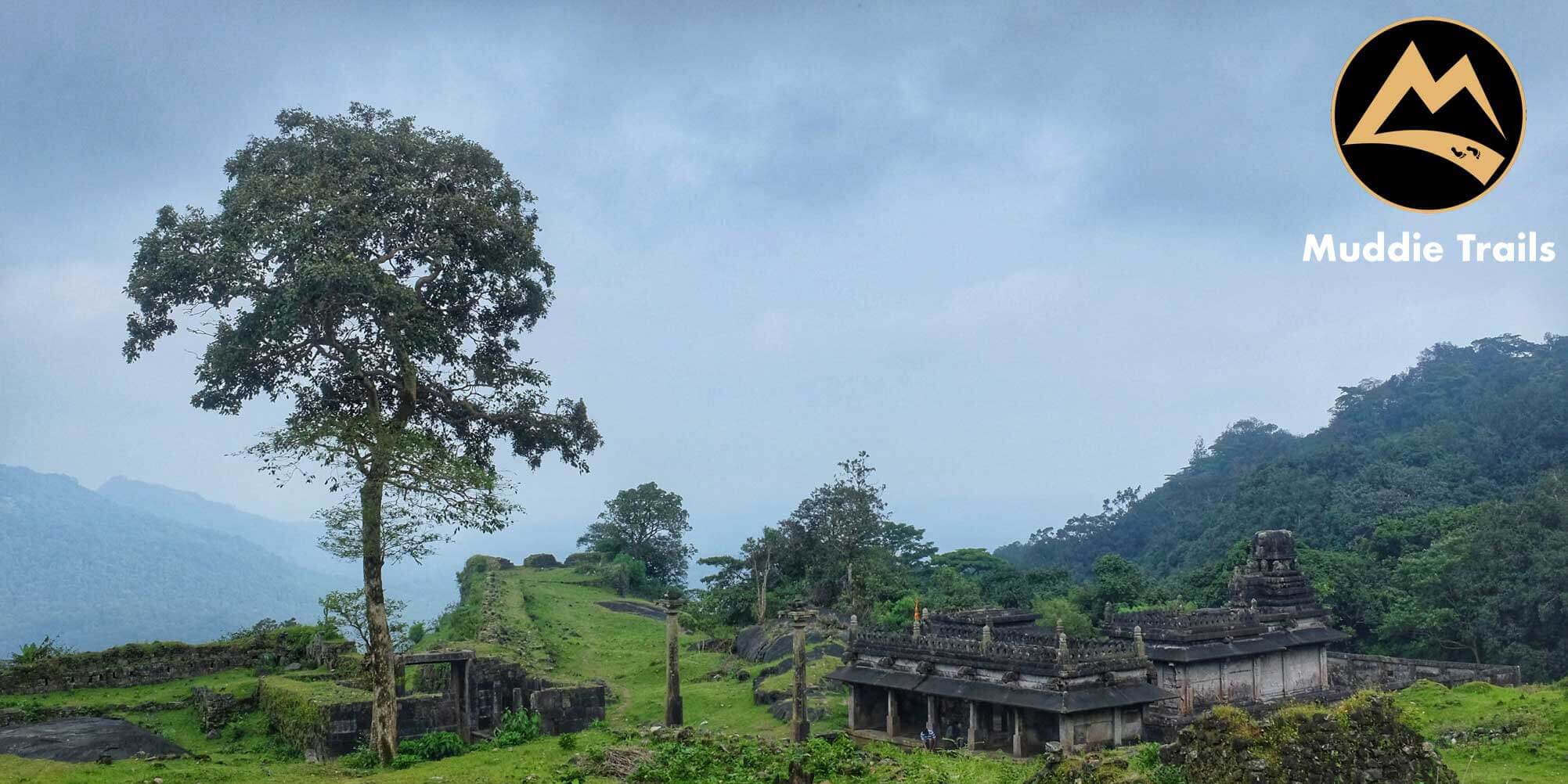 Monsoon special - The Agumbe Rainforest Camping | Muddie Trails