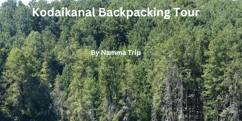 Kodaikanal Backpacking Tour | Namma Trip