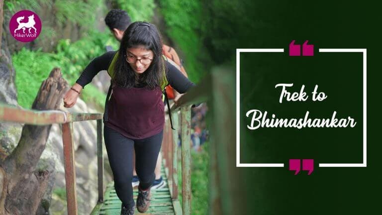 Bhimashankar Trek | Hikerwolf