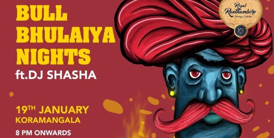 Bull Bhulaiya Nights 
