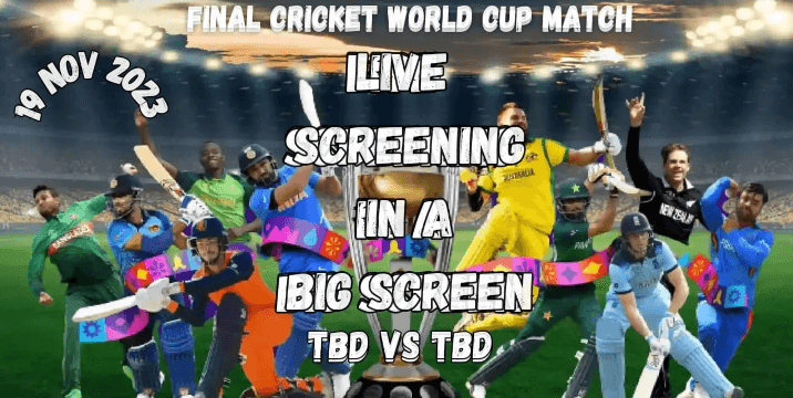 Cricket World Cup Final 2023