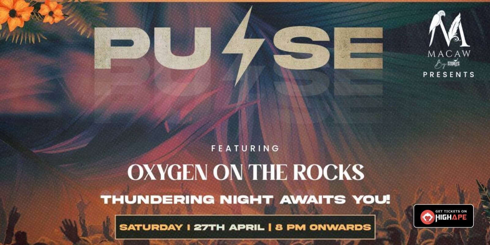 Pulse | Macaw By Stories