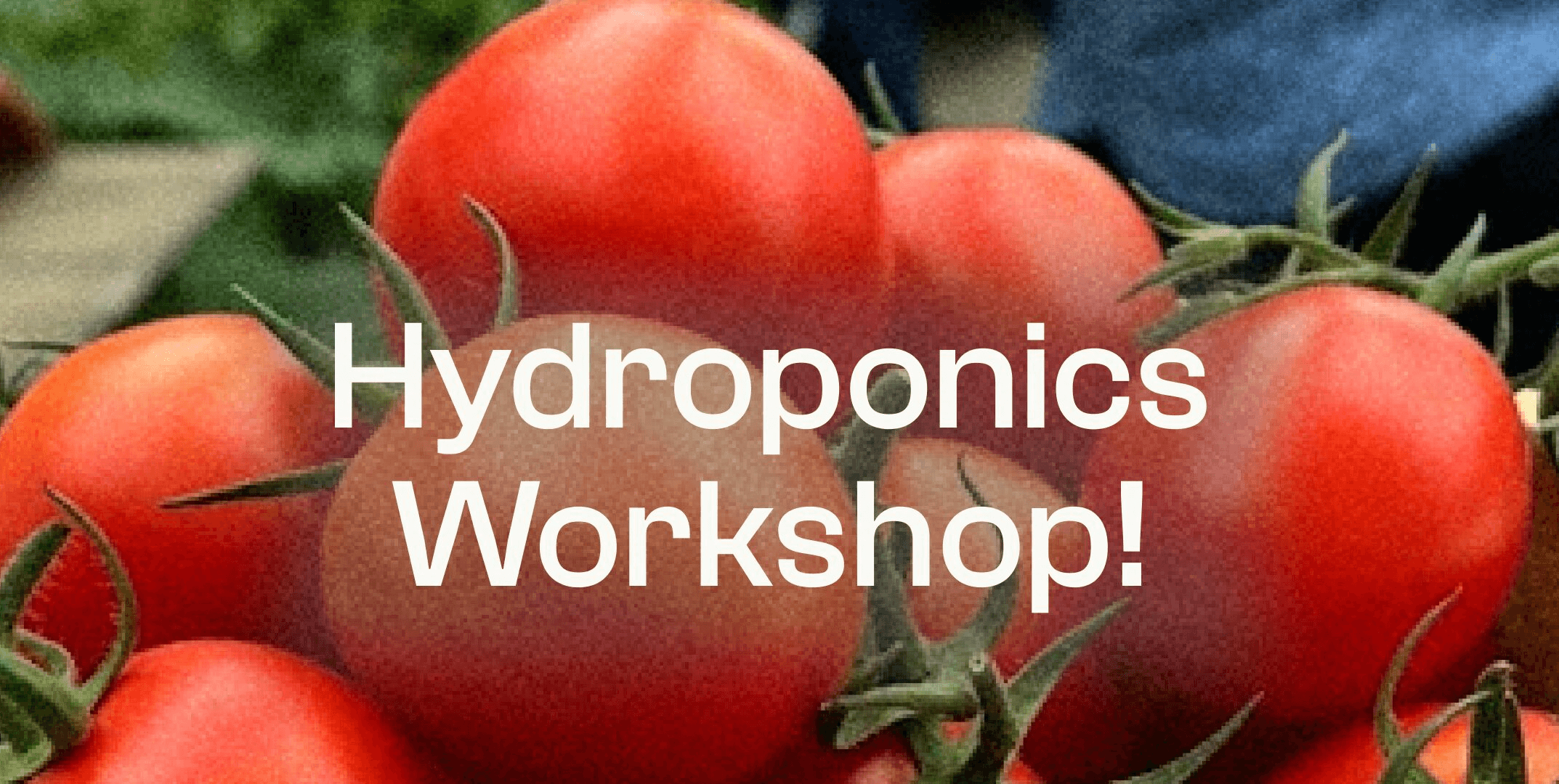 Urban Gro Hydroponics 101