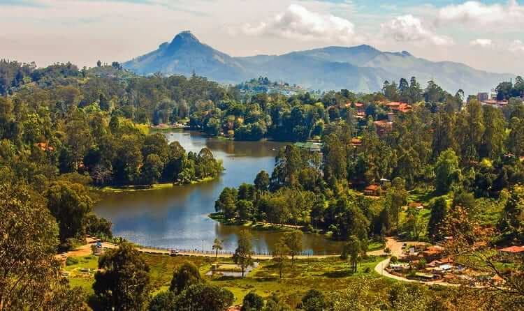 Kodaikanal Trekking Tour (One Day Package)