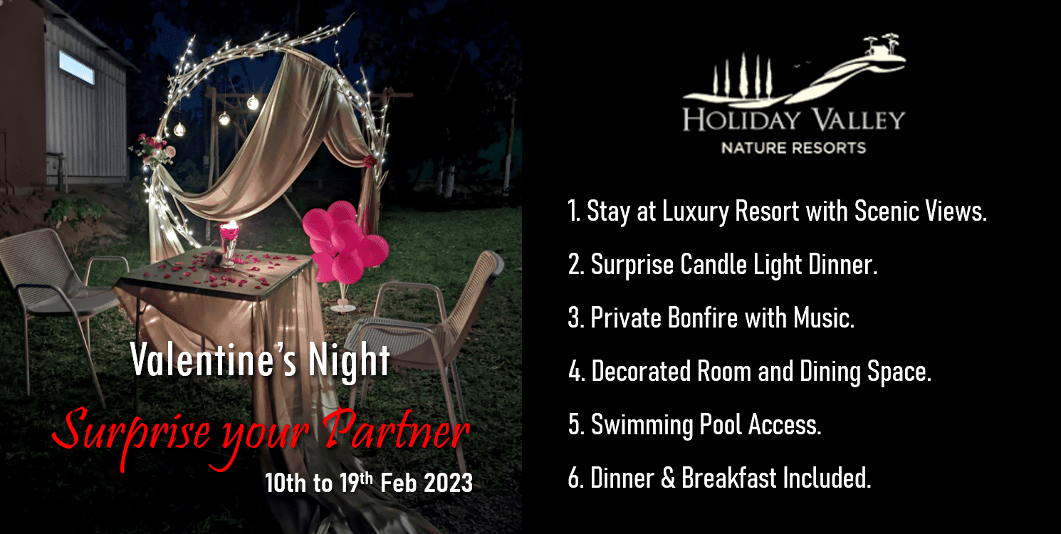 Valentine's Fiesta 2023