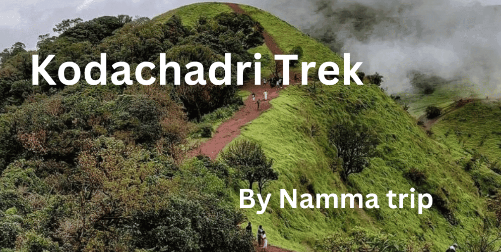Kodachadri Trek | Namma Trip