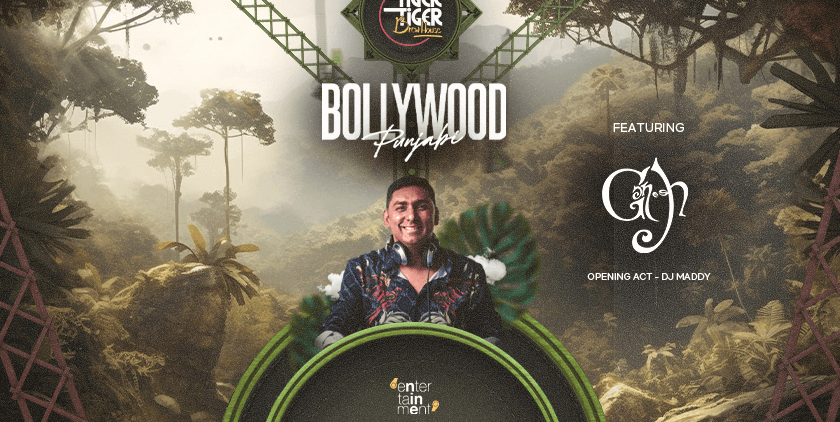 Bollywood & Punjabi Nights 
