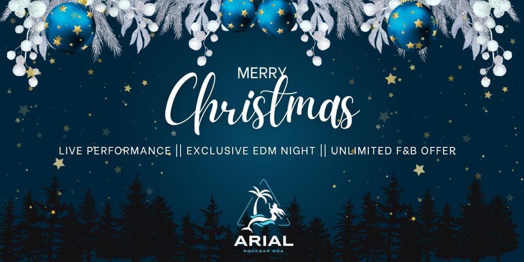 Christmas Party 2023 | Arial Rock Bar Goa