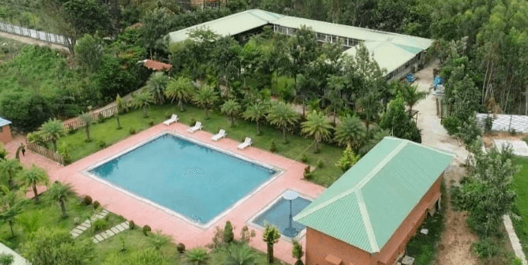 Camping Night Party And Tent Stay