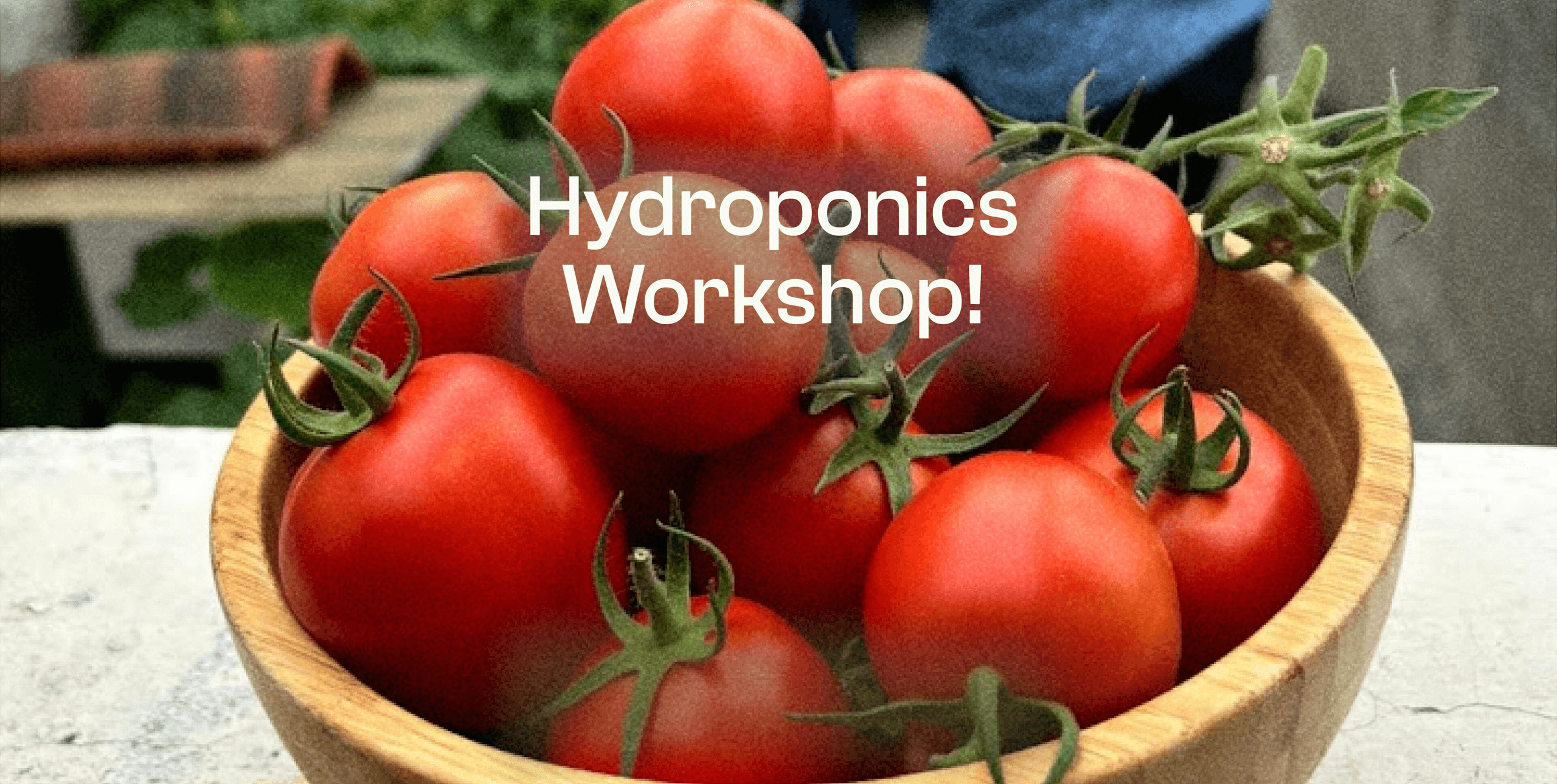 UrbanGro Hydroponics Workshop