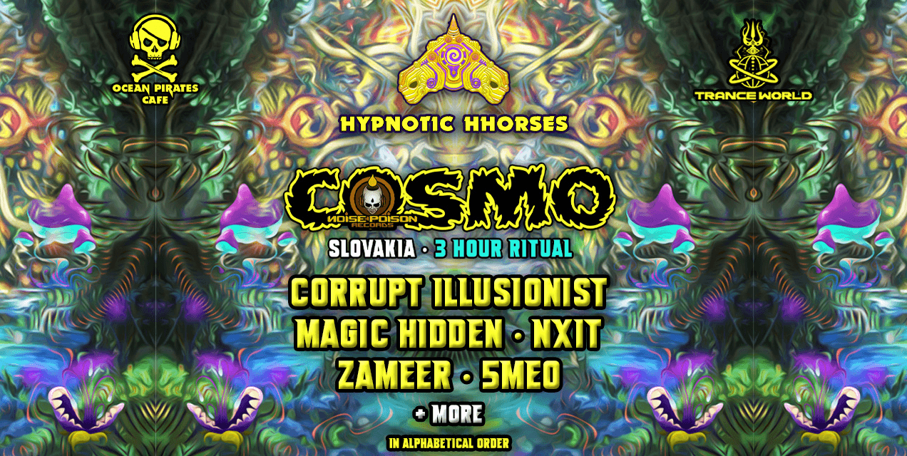 Cosmo Performing Live