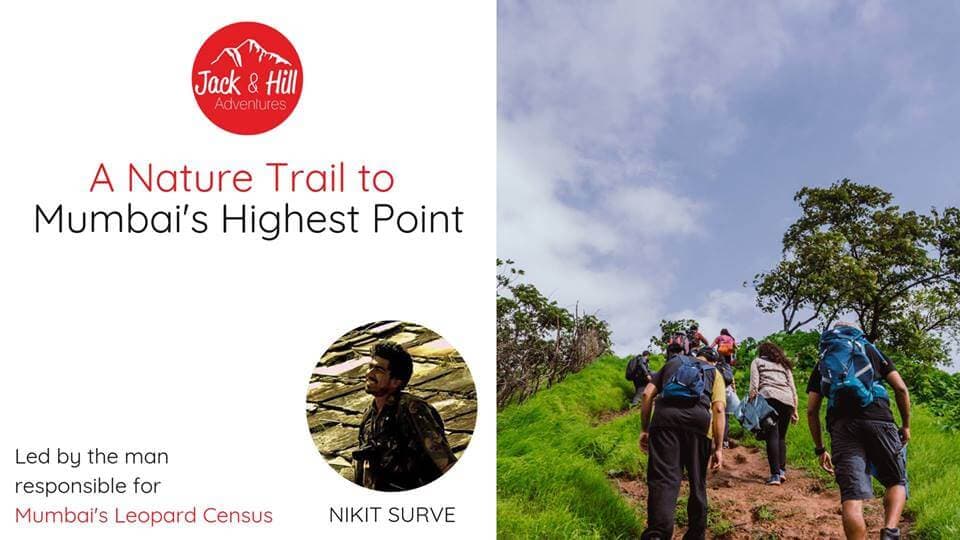 A Nature Trail to Mumbai's Highest Point