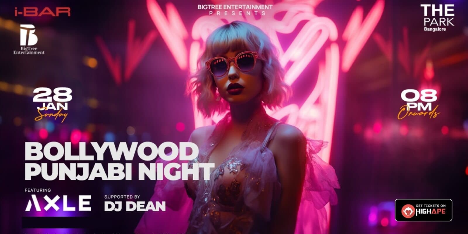 Bollywood Punjabi Night 