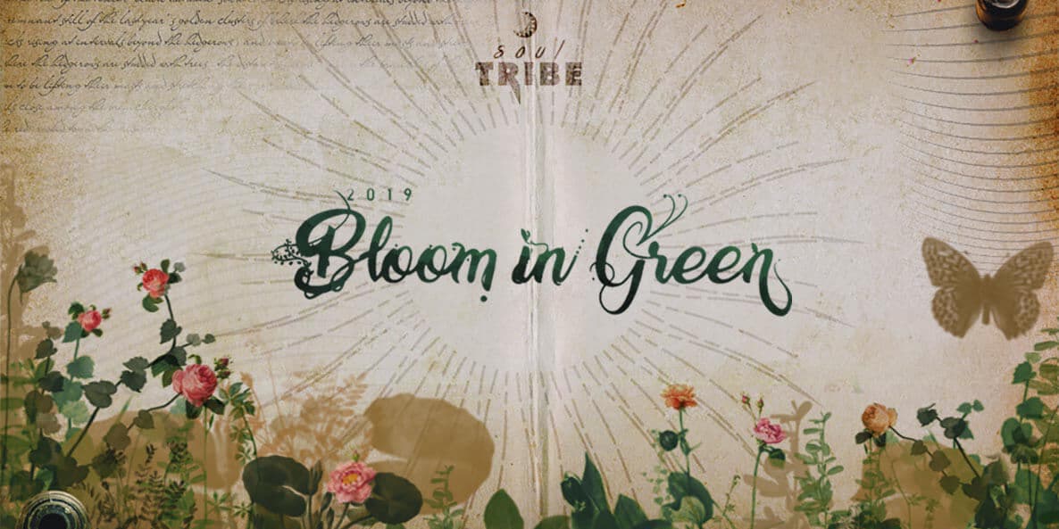 Bloom In Green Festival