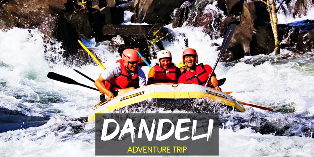 Go Wild In Dandeli