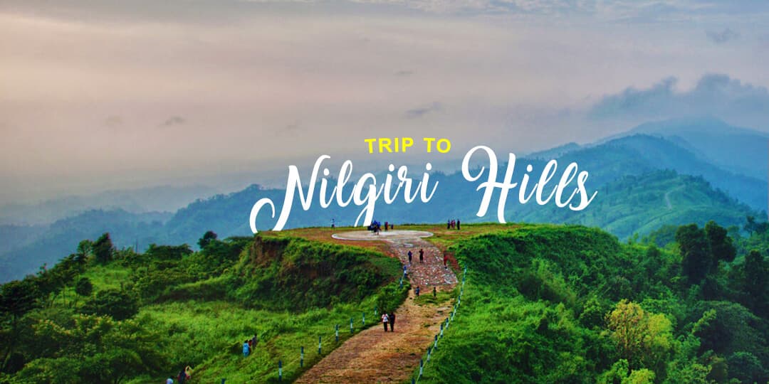 The Heavenly Nilgiris Monsoon Road Trip(The Hidden Ooty) | Muddie Trails