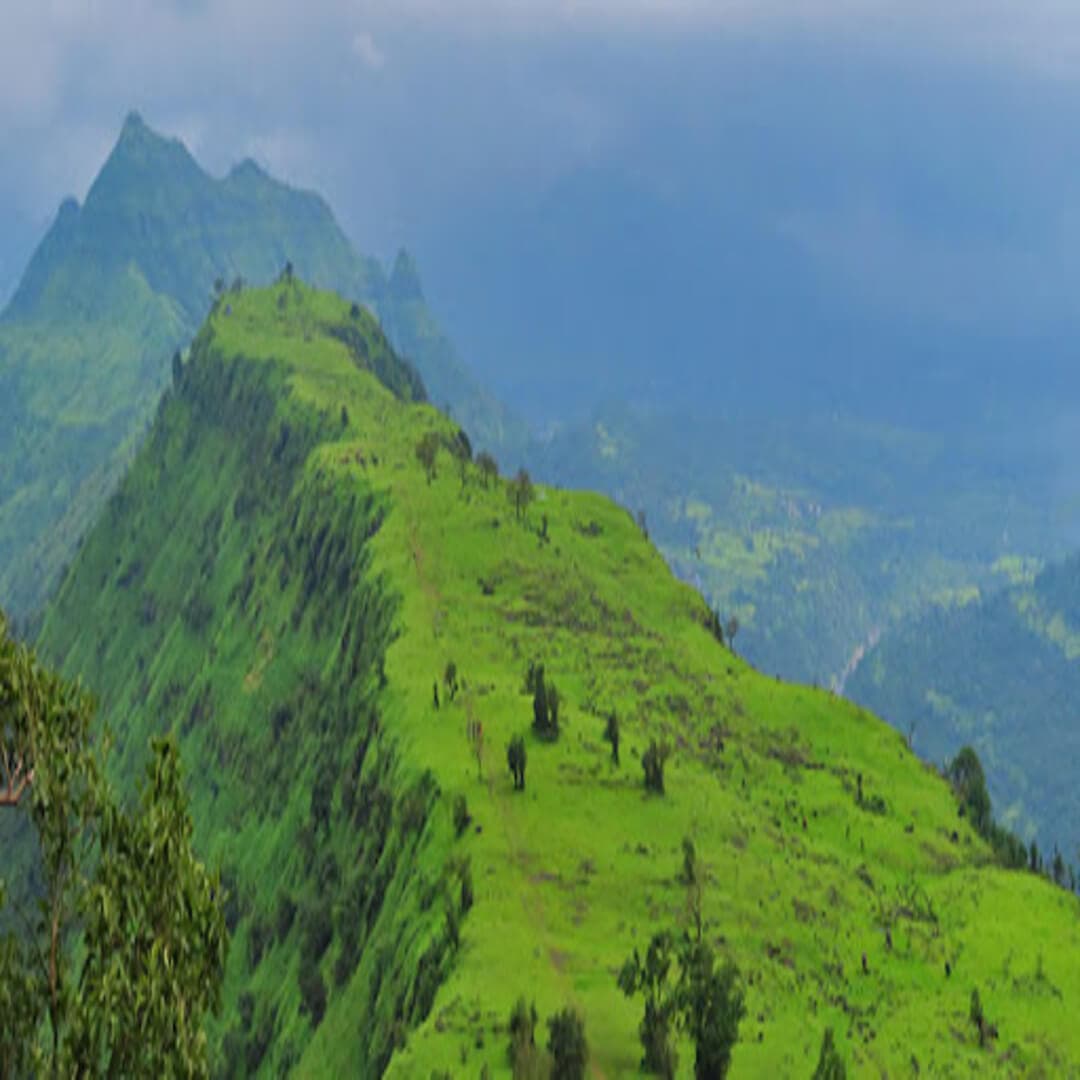 Garbett Plateau Night Trek