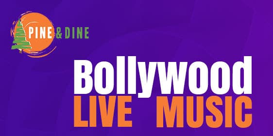 Bollywood Live Music