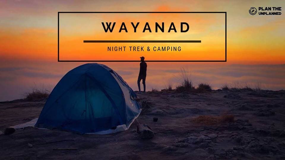 Wayanad Night Trek & Camping | Plan The Unplanned