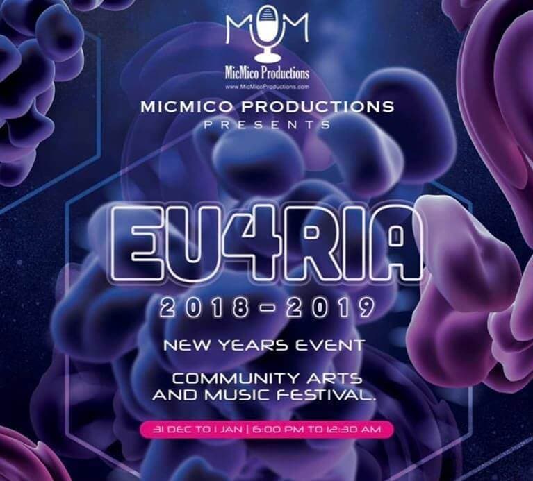 EU4RIA New Year's Eve