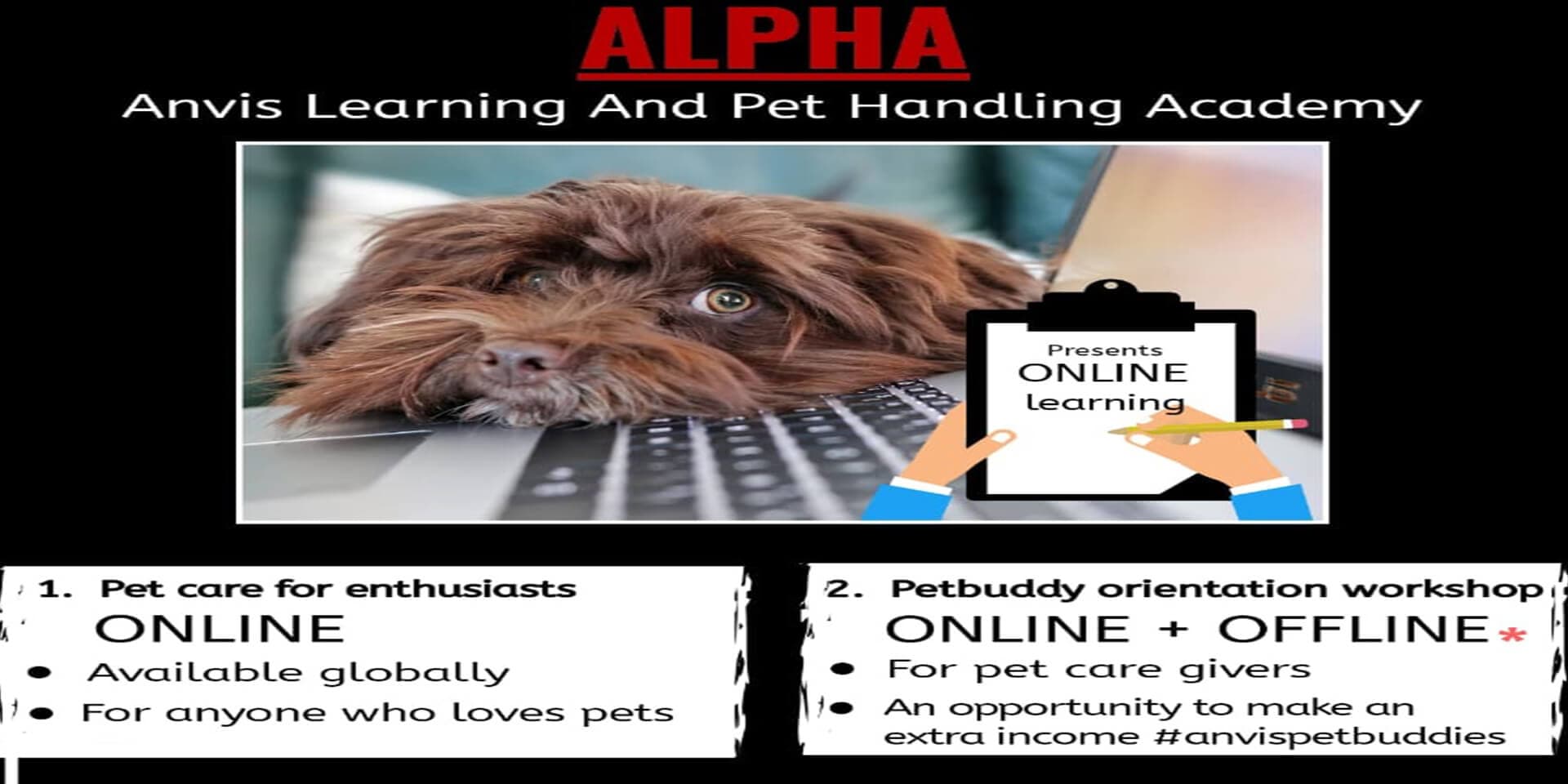 A.L.P.H.A (ANVIS Learning And Pet Handling Academy)