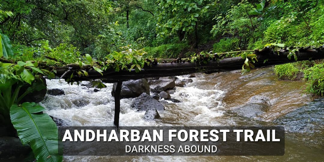 Andharban forest trail - Darkness Abound  | Mischief Treks