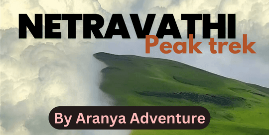 Netravathi Trek, Chikmagalur By Aranya Adventure