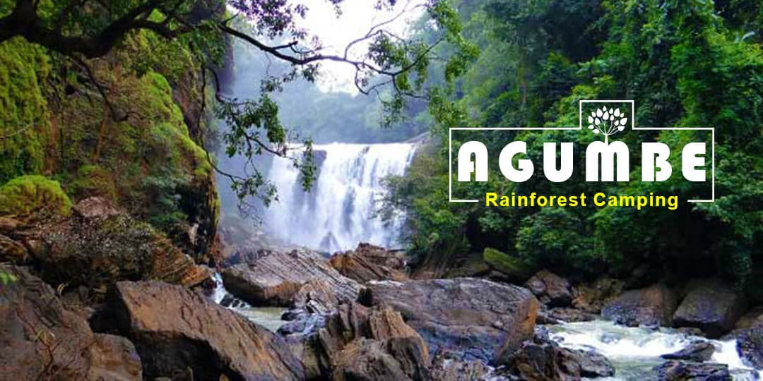 Monsoon Special - The Agumbe Rainforest Camping | Muddie Trails