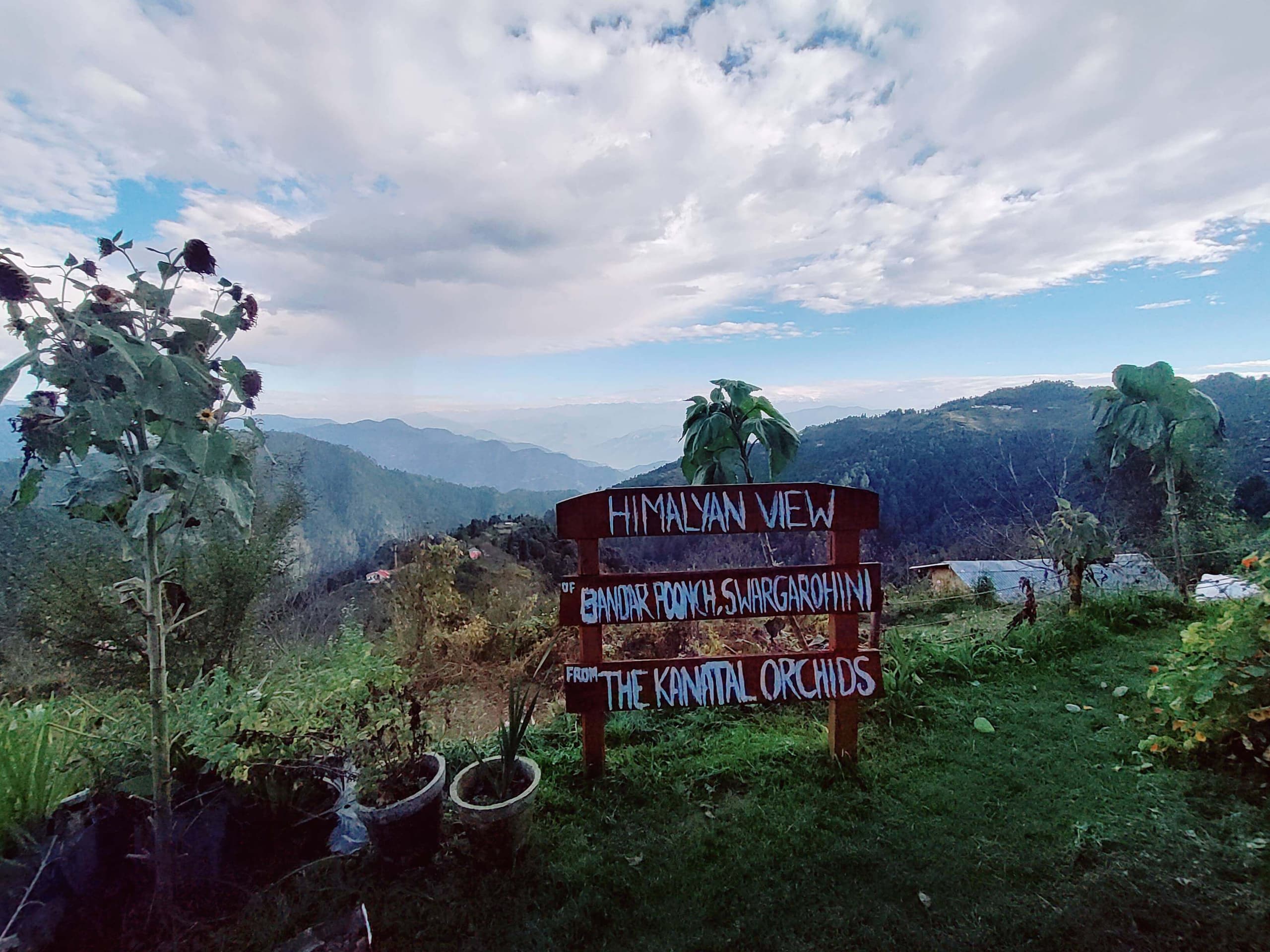 The Kanatal Orchids - NYE 2023