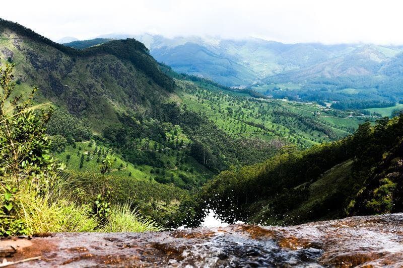 Meesapulimala Trek & Forest Camping | Nature Walkers
