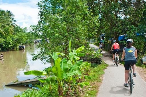 Big Banyan Tree To Manchanabele Dam Cycling And Kayaking | Escape2Explore