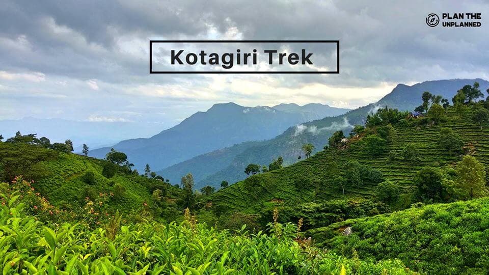Kotagiri Trek - Camp Amidst The Nilgiri Hills | Plan The Unplanned - April