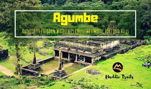 The Agumbe Rainforest Experience | Muddie Trails