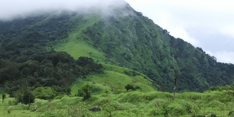 Nishani Motte Trek | Coorg 