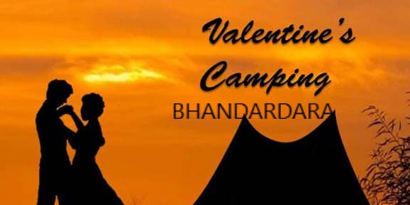 Valentine Day Spl Eva Under Twinkle Sky