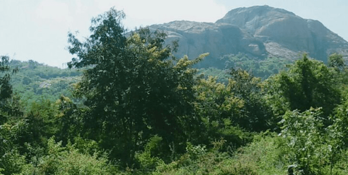 Savandurga sunrise Trek | Namma Trip