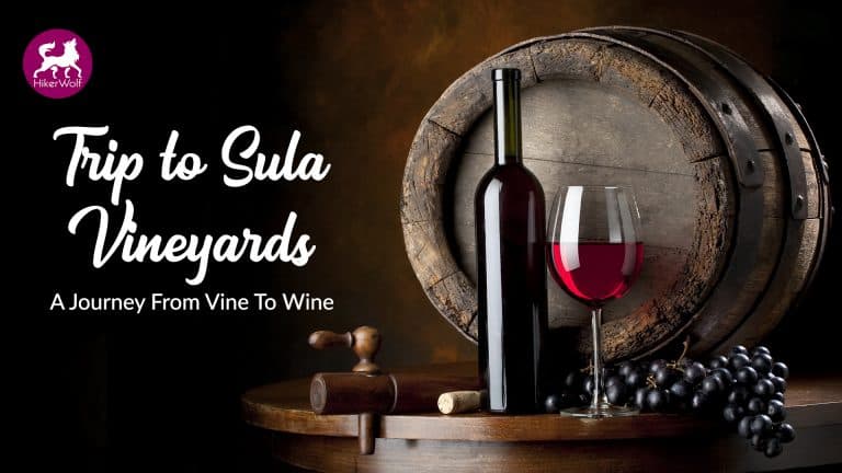 Trip To Sula Vineyards | HikerWolf