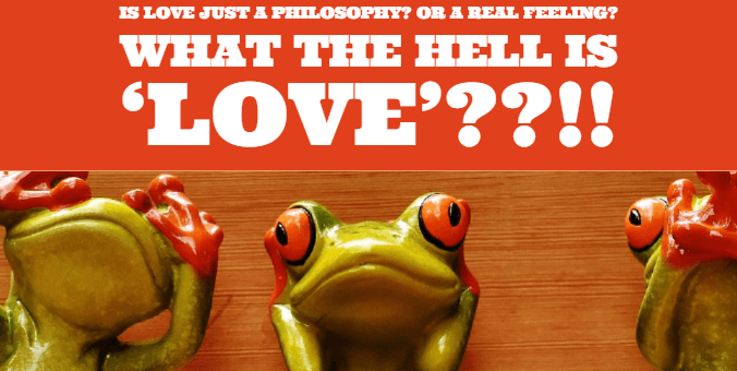 What The Hell Is Love