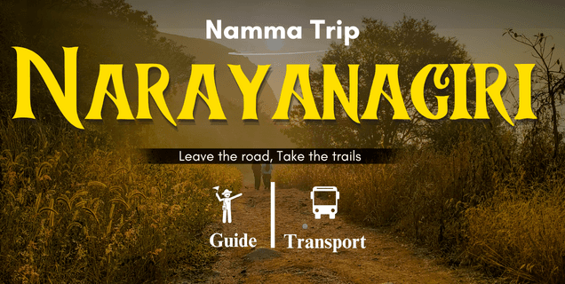 Narayangiri Sunrise Trek By Namma Trip