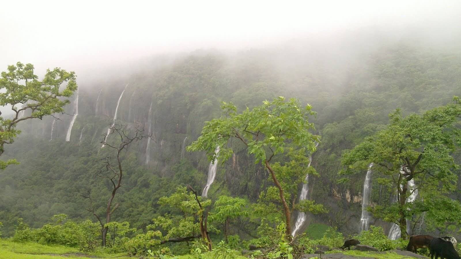 Trek to Bhimashankar Hills | Go Adventure 