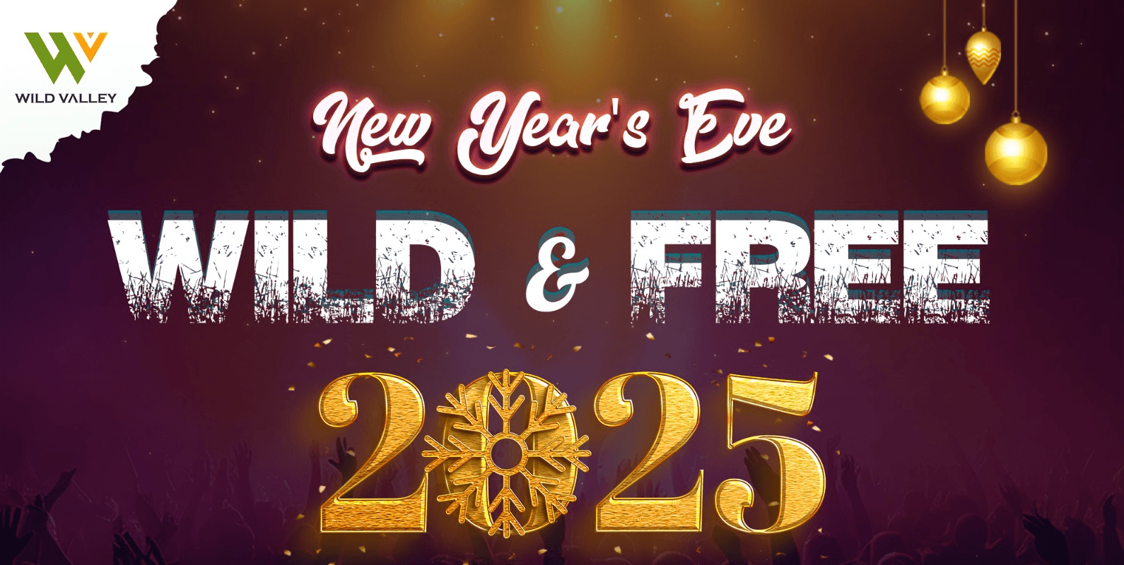 New Year 2025 Camping Night | Mountain Bear