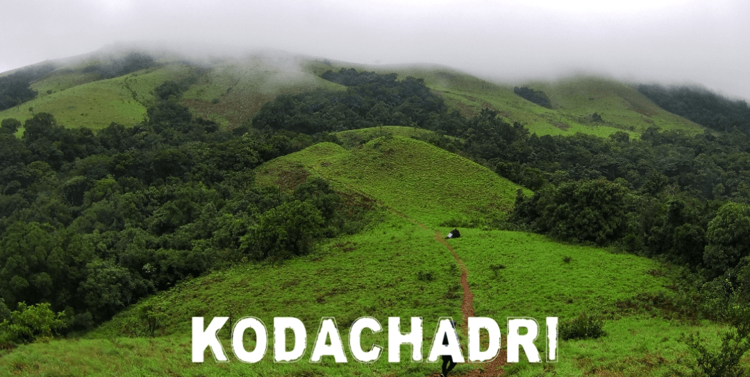 Explore Kodachadri | STEPonTOP Adventures