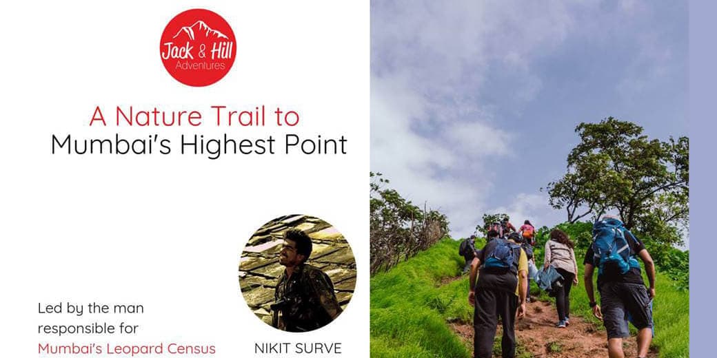 A Nature Trail to Mumbai's Highest Point